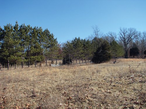 Property photo 13 - 97.5 Acres - Executive Home and Secluded Retreat